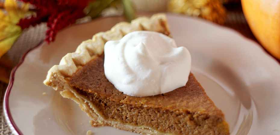 close up photo of pumpkin pie with whipped cream