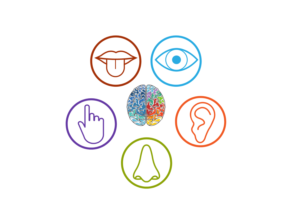 The Ways We Communicate