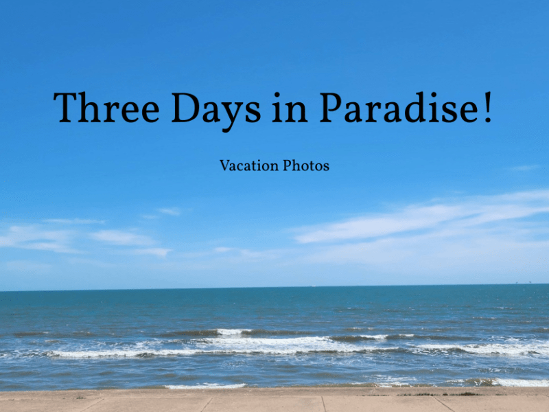 Three Days in Paradise