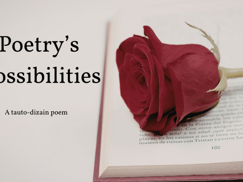 Poetry’s Possibilities