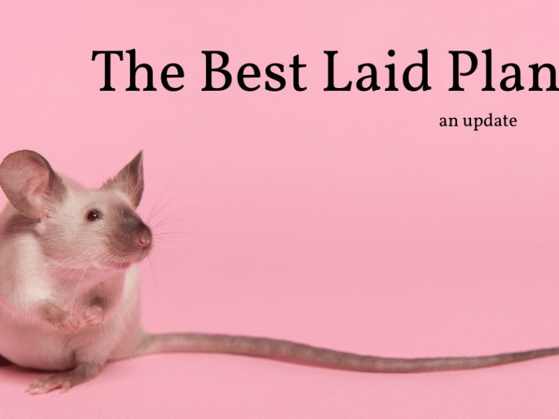 The Best Laid Plans…