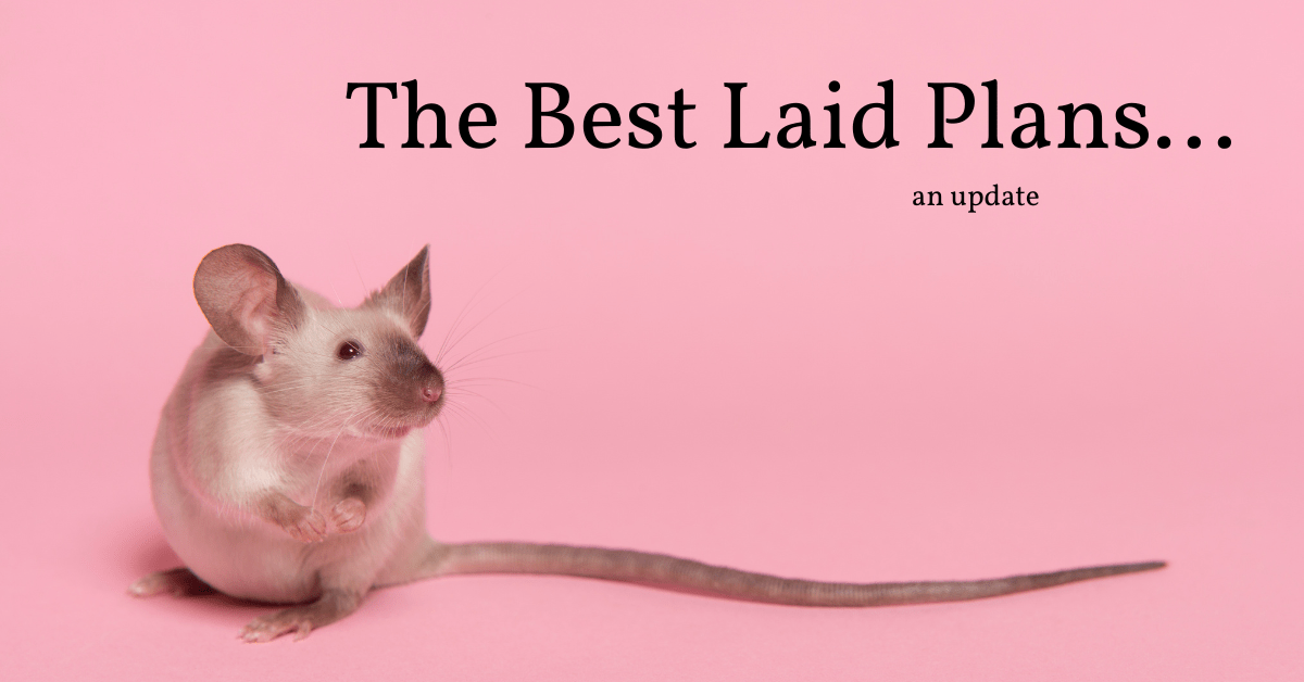 The Best Laid Plans…