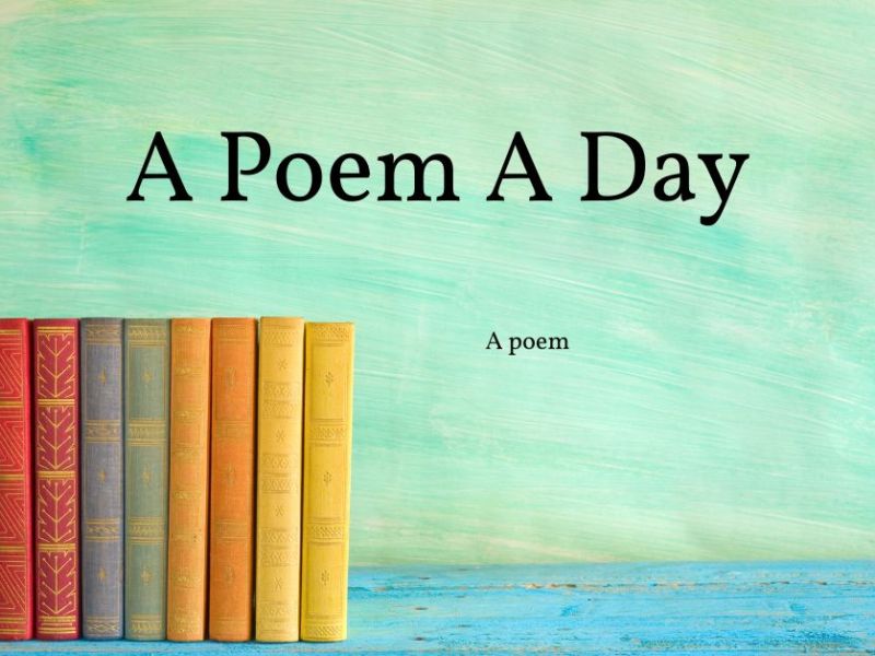 A Poem A Day