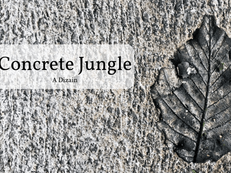 Concrete Jungle