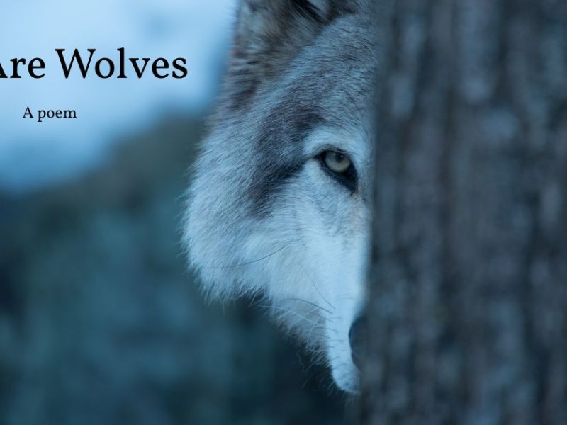 We Are Wolves