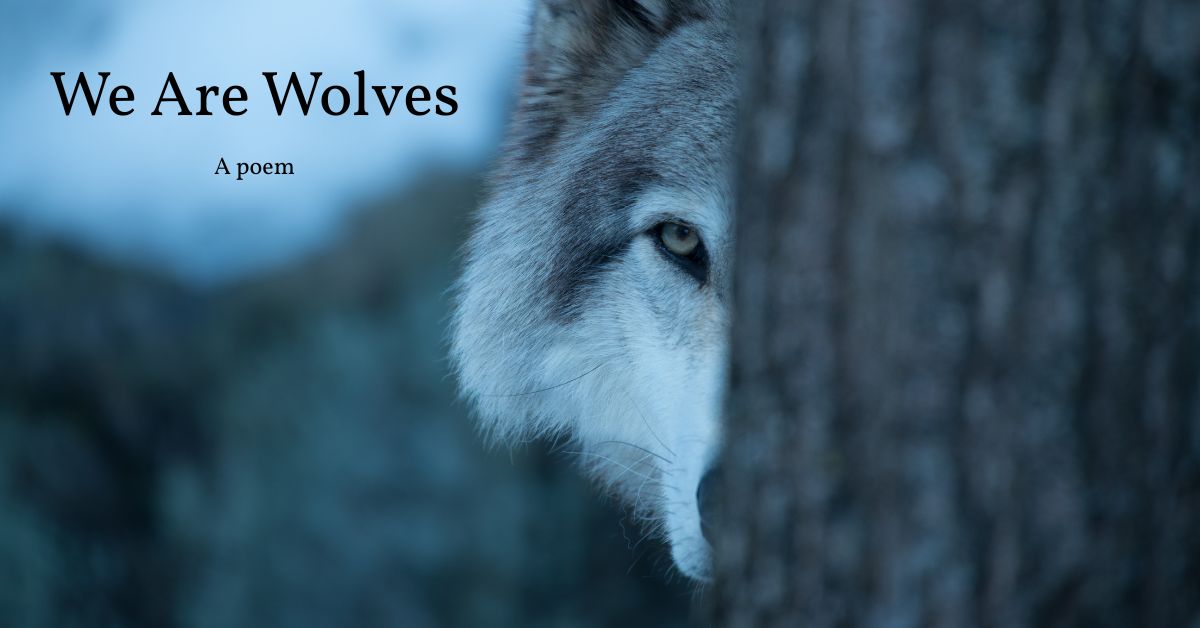 We Are Wolves