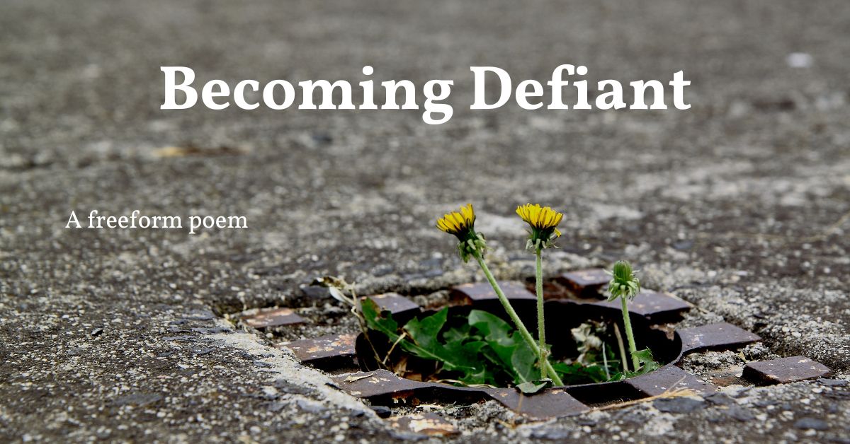 Becoming Defiant